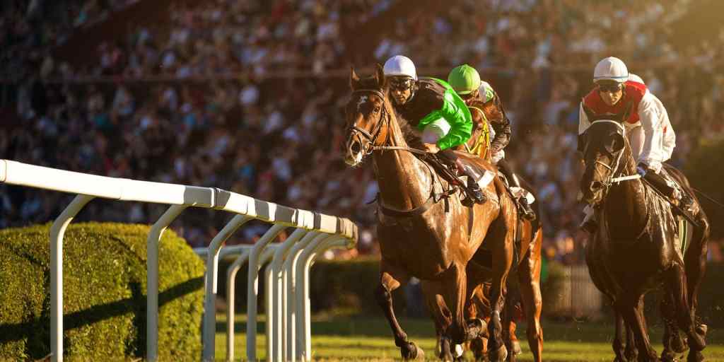 Best Pro Horse Racing Tips Are There?